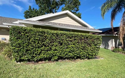 Photo of Alison P.'s yard after getting lawn care in Gallatin, TN