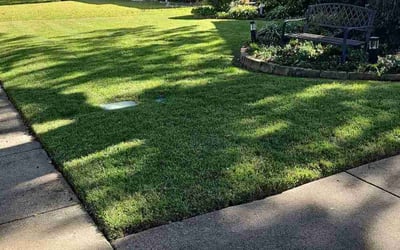 Photo of Kenneth J.'s yard after getting lawn care in Plano, TX