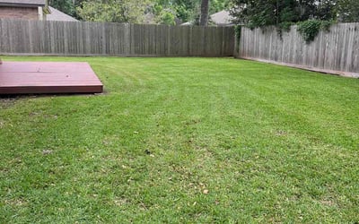 Photo of Roman C.'s yard after getting lawn care in West Columbia, TX