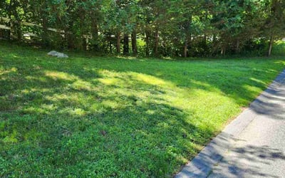 Photo of Kathy S.'s yard after getting lawn care in Ashland, MA