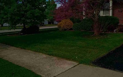 Photo of Joe Z.'s yard after getting lawn care in Enfield, CT