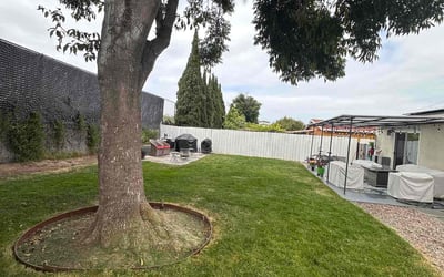 Photo of Sara F.'s yard after getting lawn care in Oceanside, CA