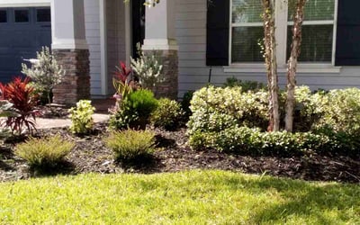 Photo of Carmen M.'s yard after getting lawn care in Baldwin, NY