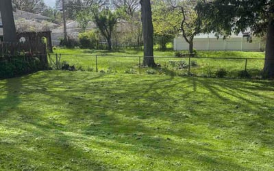 Photo of Diana W.'s yard after getting lawn care in Theodore, AL