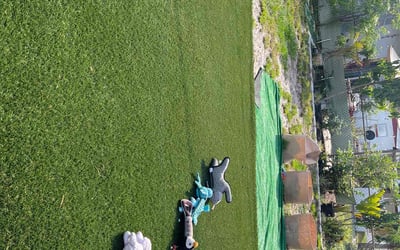 Photo of Kristal J.'s yard after getting lawn care in St. Petersburg, FL