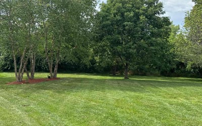 Photo of Mayzella W.'s yard after getting lawn care in Raymore, MO