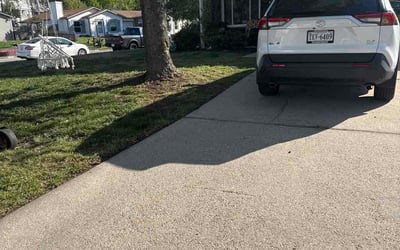 Photo of Helene L.'s yard after getting lawn care in Camp Hill, PA