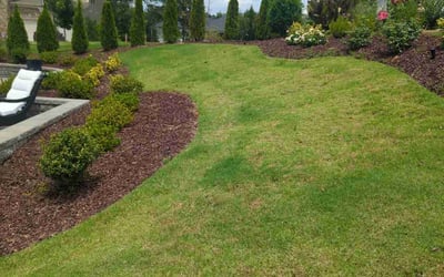 Photo of Demeka G.'s yard after getting tree care in Waxhaw, NC