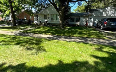 Photo of Mandy P.'s yard after getting lawn care in Hamtramck, MI
