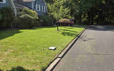 Photo of Christine B.'s yard after getting lawn care in Morganville, NJ