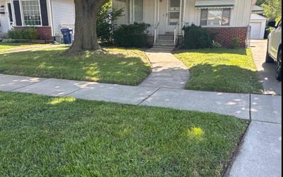 Photo of Tysha S.'s yard after getting lawn care in Grand Blanc, MI