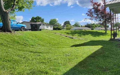 Photo of Jasmine L.'s yard after getting lawn care in Lancaster, PA