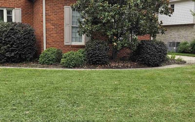 Photo of Madeline B.'s yard after getting lawn care in Chattanooga, TN