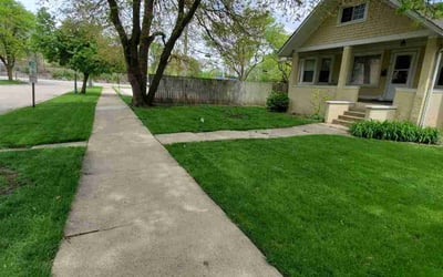 Photo of Frank T.'s yard after getting lawn care in Justice, IL