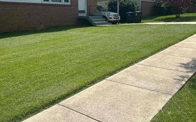 Photo of Steve T.'s yard after getting lawn care in Middletown, NY