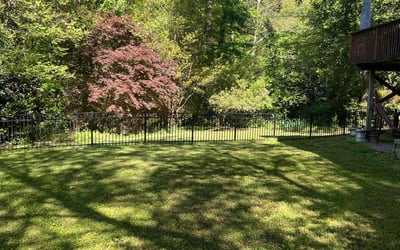 Photo of Justine U.'s yard after getting lawn care in Charlotte, NC