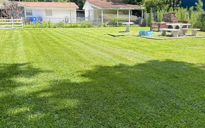 Photo of Kirstie K.'s yard after getting lawn care in Fountain Inn, SC
