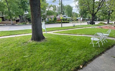 Photo of Phyllis G.'s yard after getting lawn care in Girard, OH