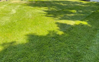 Photo of Gene J.'s yard after getting lawn care in Leominster, MA