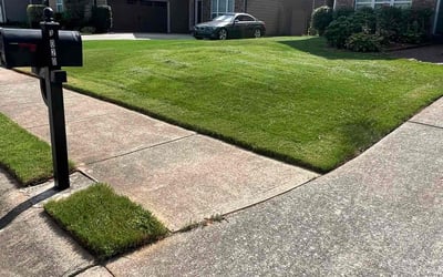 Photo of Rose G.'s yard after getting lawn care in Cumming, GA