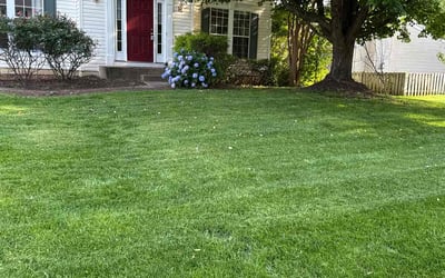 Photo of Christine J.'s yard after getting lawn care in Prairie Village, KS