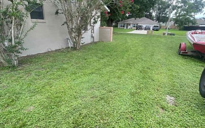 Photo of Kimberly A.'s yard after getting lawn care in Leesburg, FL