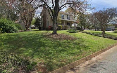 Photo of Cassie C.'s yard after getting lawn care in Pickens, SC