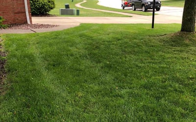Photo of Henry G.'s yard after getting lawn care in Brunswick, OH