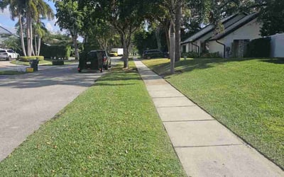 Photo of Malaya M.'s yard after getting lawn care in Boca Raton, FL