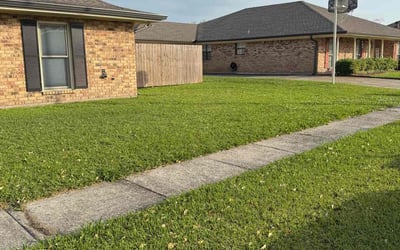 Photo of DOROTHY L.'s yard after getting lawn care in Houma, LA