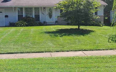 Photo of Elaine t.'s yard after getting lawn care in Rochester, NY