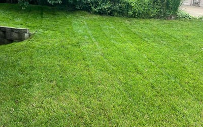 Photo of Michael C.'s yard after getting lawn care in Iowa City, IA