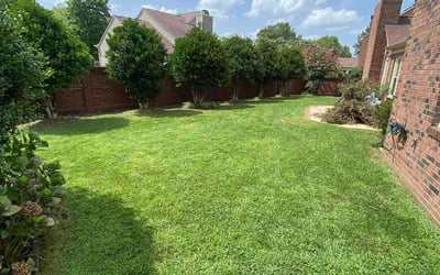Photo of Edgar J.'s yard after getting lawn care in Iron Station, NC