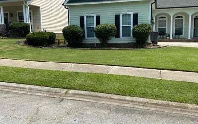 Photo of Sheila R.'s yard after getting lawn care in Cottage Grove, MN
