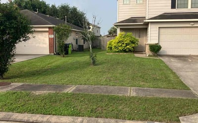 Photo of Jerry W.'s yard after getting lawn care in Rosenberg, TX
