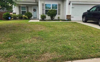 Photo of Erich S.'s yard after getting lawn care in Farmingville, NY