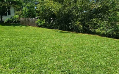 Photo of Cody M.'s yard after getting lawn care in Rossville, GA