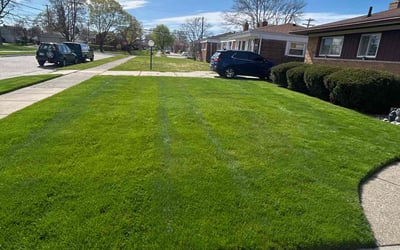 Photo of Mark F.'s yard after getting lawn care in Garden City, MI