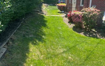 Photo of Michele N.'s yard after getting lawn care in Teaneck, NJ