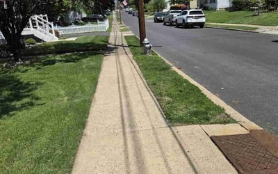 Photo of Justin M.'s yard after getting lawn care in Powder Springs, GA
