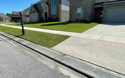 Photo of Eric K.'s yard after getting lawn care in Zachary, LA
