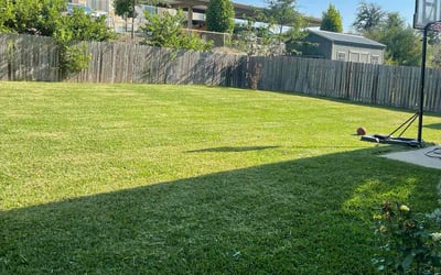 Photo of Joann Y.'s yard after getting lawn care in Lakeway, TX