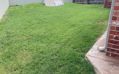 Photo of Jennifer S.'s yard after getting lawn care in Plainfield, IN