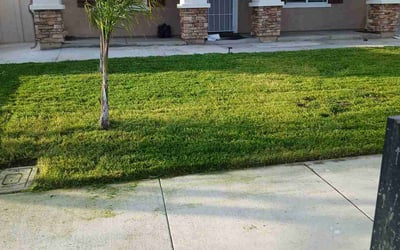 Photo of Janelle E.'s yard after getting lawn care in San Jacinto, CA