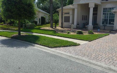 Photo of Angela M.'s yard after getting lawn care in Overland Park, KS
