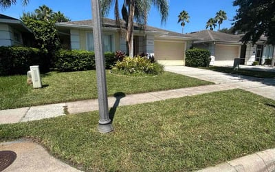 Photo of Ralph Q.'s yard after getting lawn care in Immokalee, FL