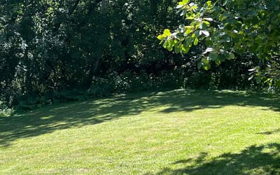 Photo of Sharon G.'s yard after getting lawn care in Columbia Heights, MN