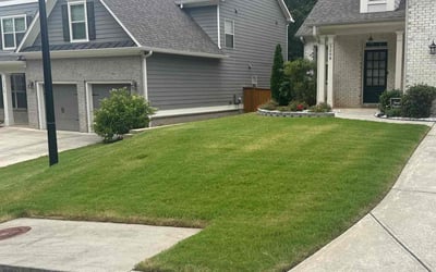 Photo of Sean M.'s yard after getting lawn care in Rockville, MD