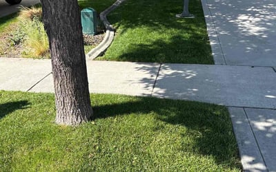 Photo of Katherine H.'s yard after getting lawn care in Poughkeepsie, NY