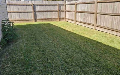 Photo of Satoshi M.'s yard after getting lawn care in Metairie, LA